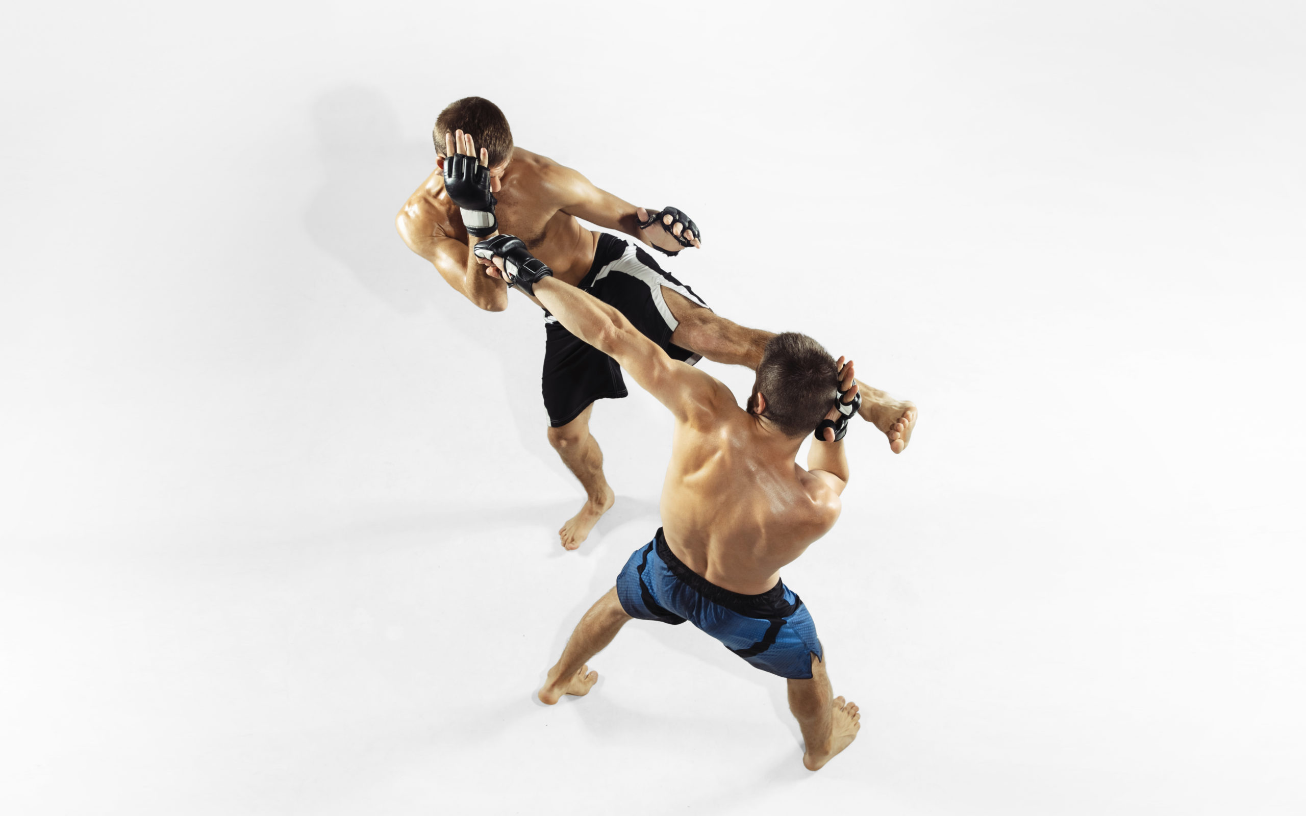 //mkk.mkkoyama.pl/wp-content/uploads/2023/09/two-professional-mma-fighters-boxing-isolated-white-studio-1-scaled.jpg